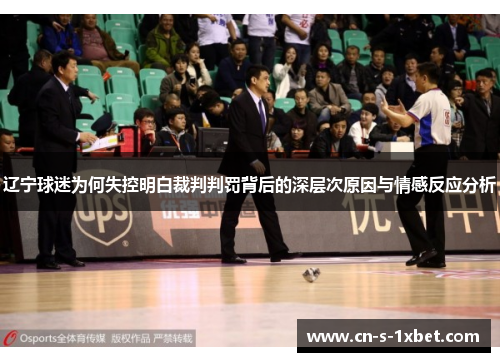 辽宁球迷为何失控明白裁判判罚背后的深层次原因与情感反应分析 辽宁球迷为何失控明白裁判判罚背后的深层次原因与情感反应分析