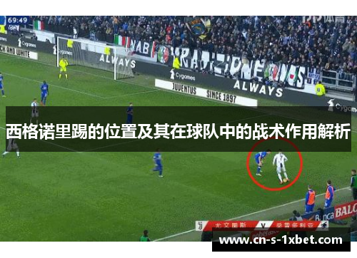 西格诺里踢的位置及其在球队中的战术作用解析