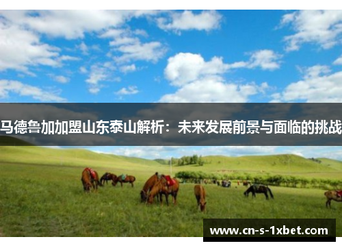 马德鲁加加盟山东泰山解析:未来发展前景与面临的挑战 马德鲁加加盟山东泰山解析:未来发展前景与面临的挑战