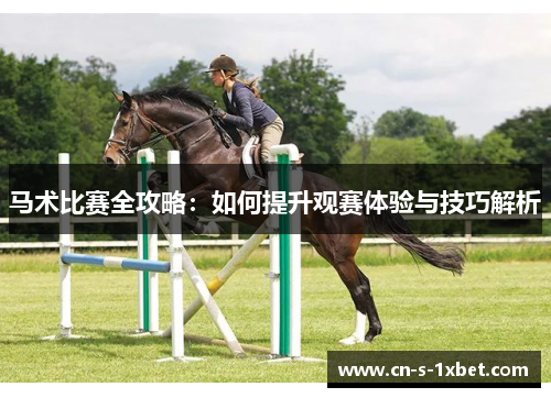 马术比赛全攻略:如何提升观赛体验与技巧解析 马术比赛全攻略:如何提升观赛体验与技巧解析
