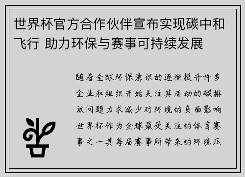 世界杯官方合作伙伴宣布实现碳中和飞行 助力环保与赛事可持续发展